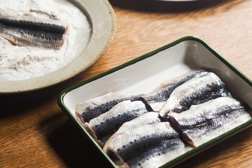 A tray of uncooked butterflied sardines, ready to be seasoned and coated in flour for a fast fish dinner.