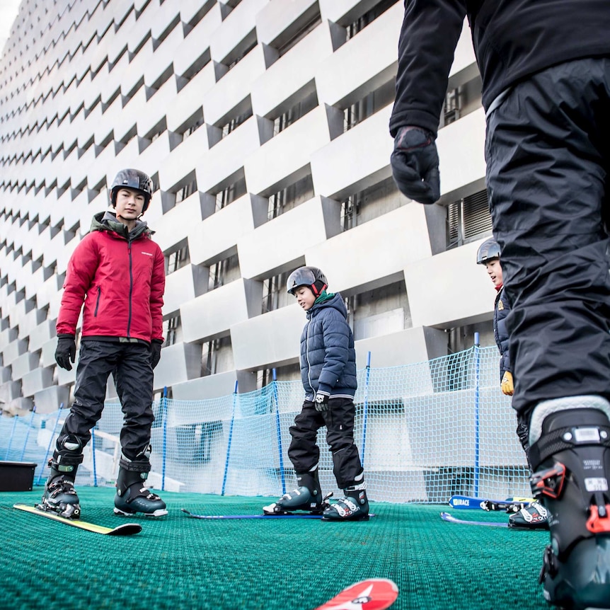 Kids are seen skiing on the green slopes.