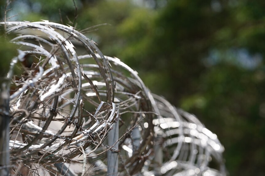 A length of shiny, silver razor wire atop a prison fence. 
