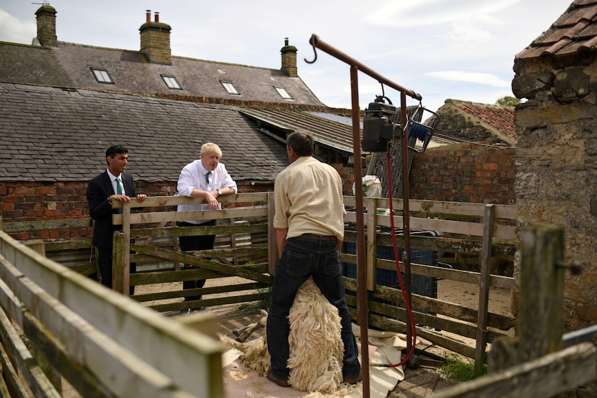 Boris Johnson and Rishi Sunak wearing suits chat to a man holding up a very fluffy sheep