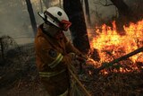 Firefighter conducting back-burning operations