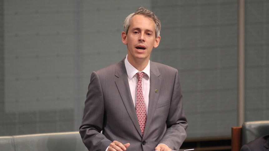 Labor MP Andrew Giles makes maiden speech