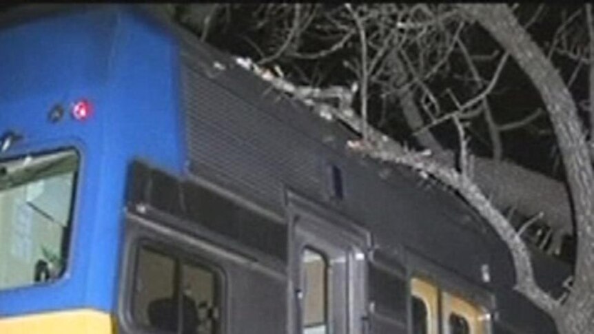 Rail services on the Blue Moutains line will remain cut until at least Friday after strong winds brought down trees on two trains.