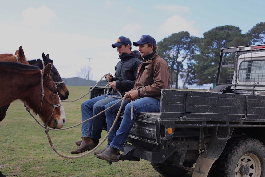 Men sit on the back of a ute