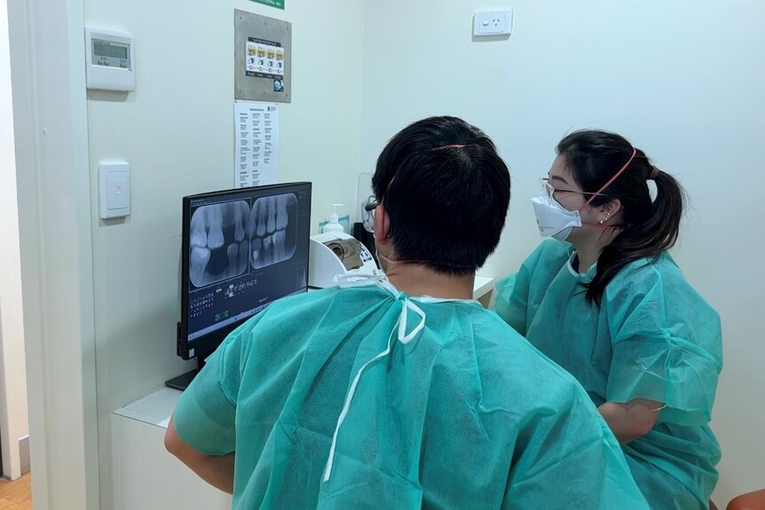 Student dentists examine xrays
