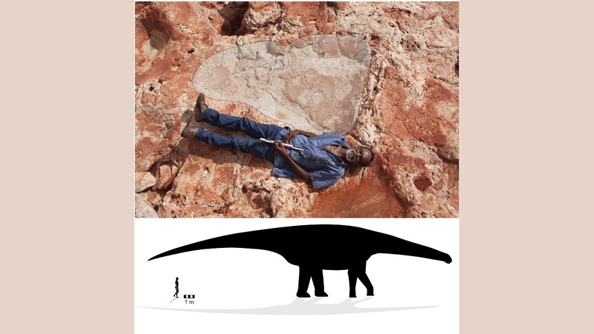 A man lies on the ground to give scale to a fossiled dinosaur footprint. The footprint is the same size as the man. 