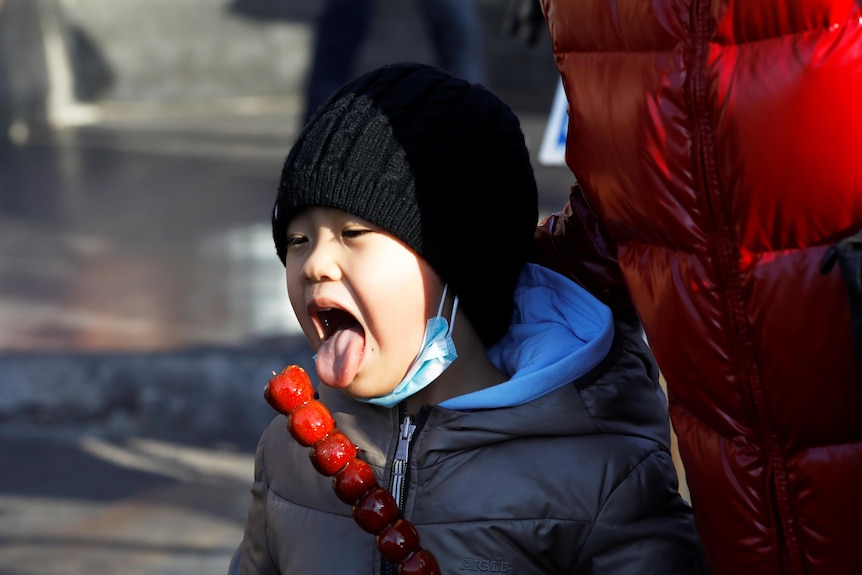A young child in winter clothes licks at a stick of sugar-coated red berries skewered along a stick.
