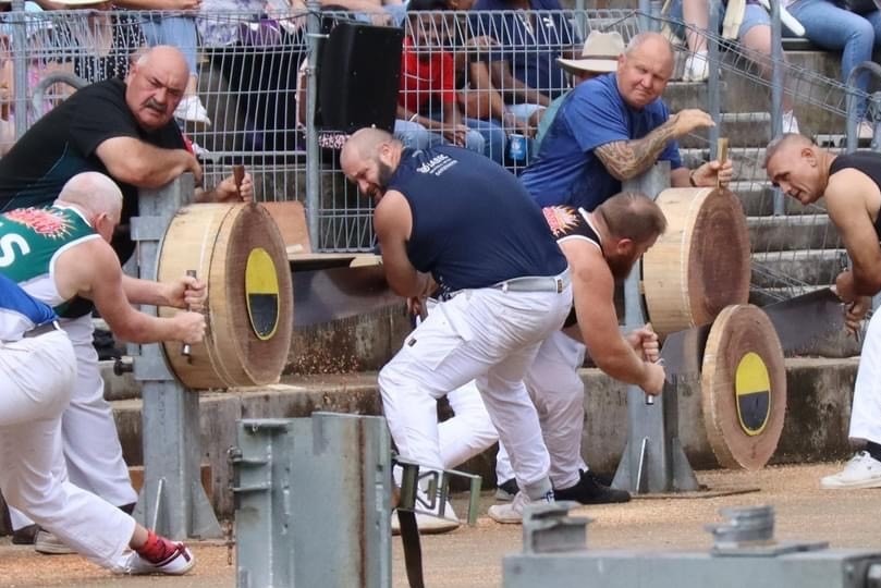 Competing woodchoppers in an arena saw through logs.