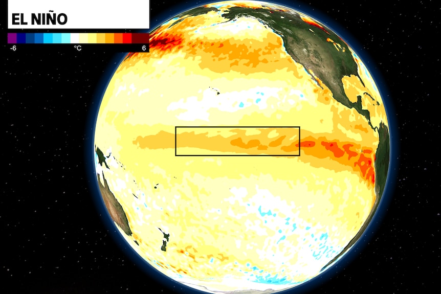 A map of the world showing the pacific ocean and orange splotches along the equator, signifiying warmth