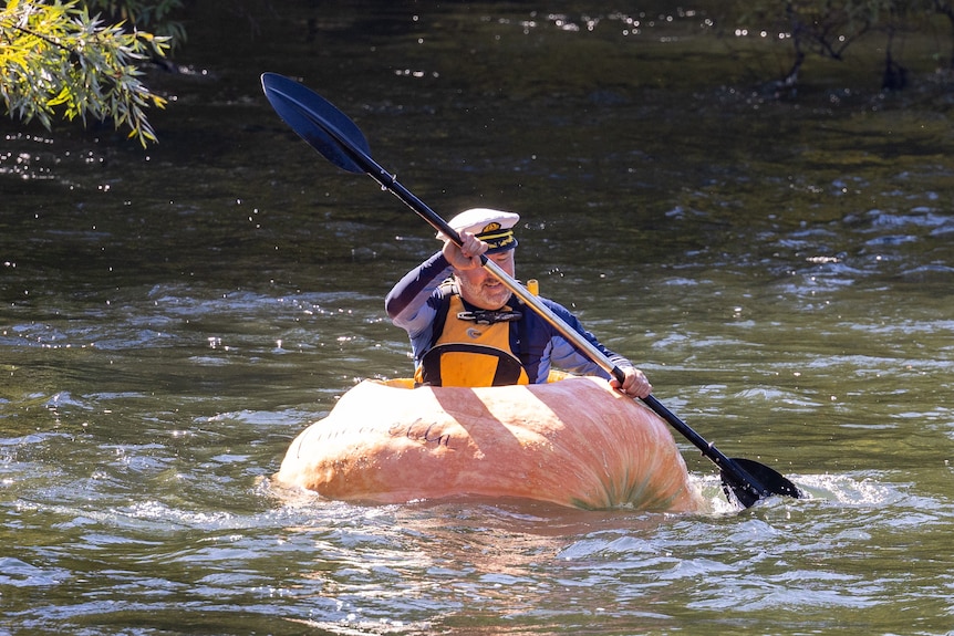 A man dressed as popeye sits in a hollowed out 400 kilo pumpkin waving as he paddles in a river
