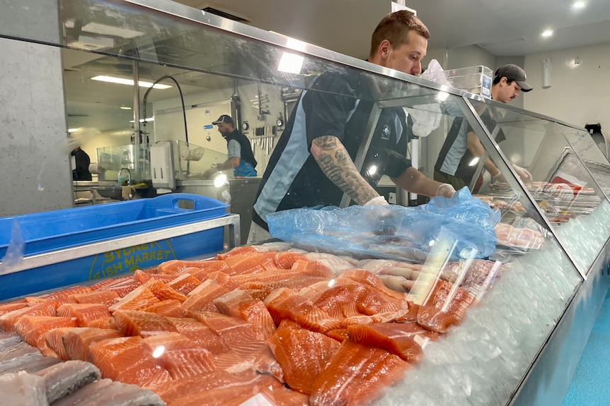 workers restocking fish cuts in a display case
