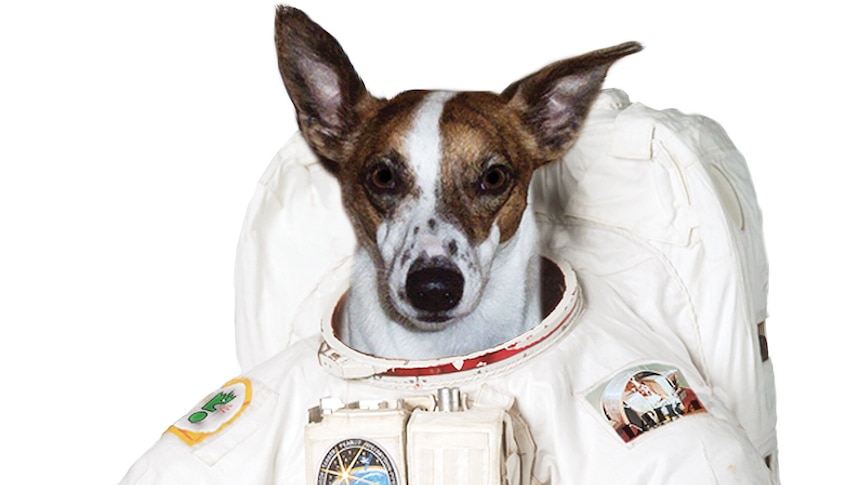 First Dog On The Moon - Abc Radio National