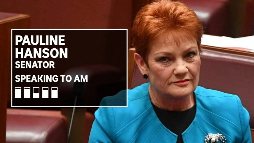 Pauline Hanson's One Nation to support $144 billion income tax cuts