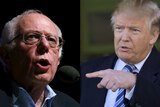 A composite picture of Bernie Sanders (L) and Republican presumptive nominee Donald Trump.