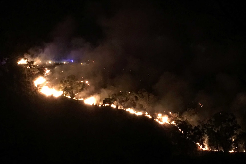 A bushfire burning at night through trees.