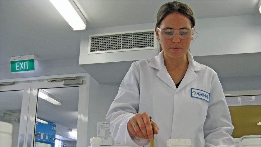 A scientist tests a seaweed compound believed to inhibit the swine flu virus.