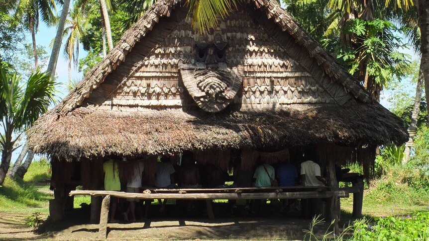 A thatched hut photographed from a distance. It is surrounded by trees.