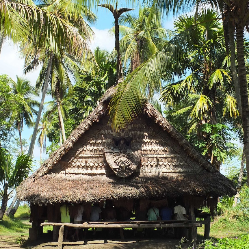 A thatched hut photographed from a distance. It is surrounded by trees.