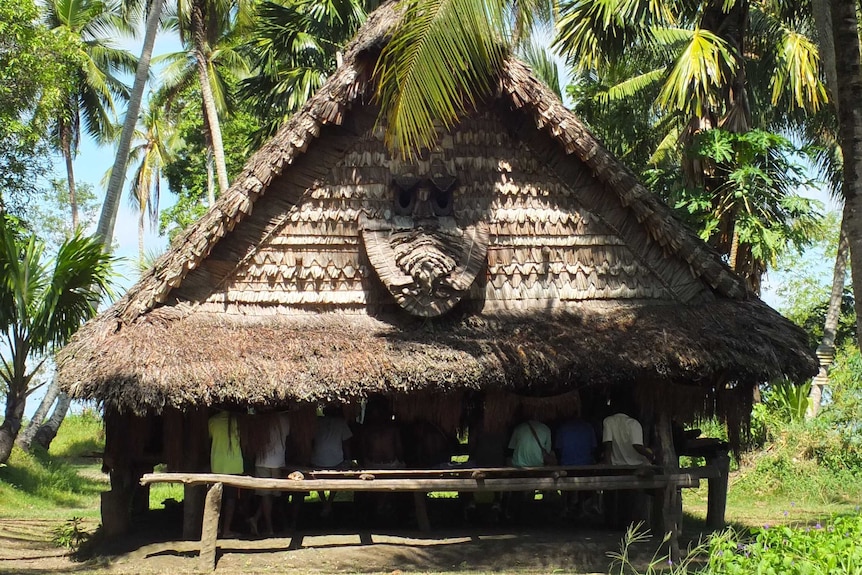 A thatched hut photographed from a distance. It is surrounded by trees.