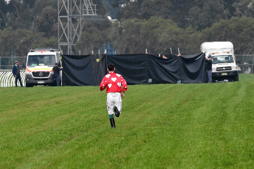 A jockey in a red shirt with white hearts is seen from behind running down a racetrack towards a black curtain between two cars.