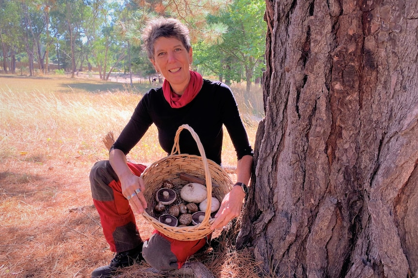 A woman holding a basket of mushrooms crouching next to a pine tree with bush land behind her.