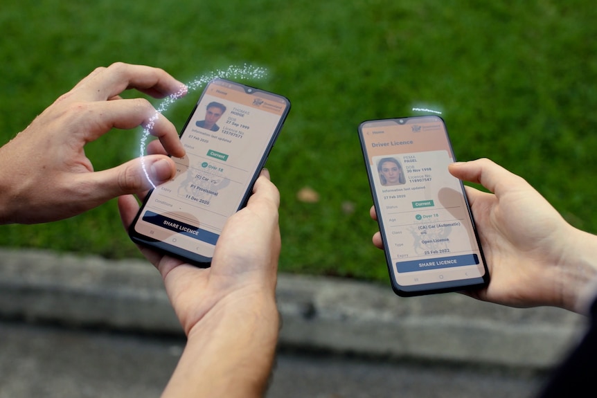 Two sets of hands each holding a phone which displays a digital licence with each persons photo, name and details.