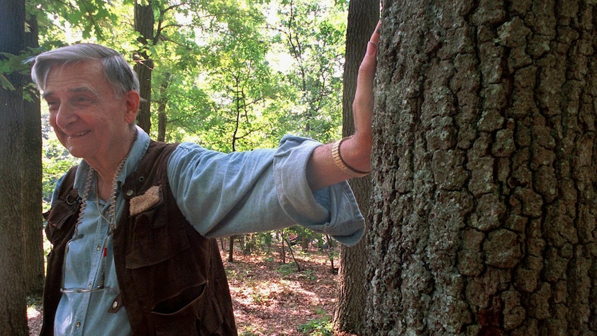 A man smiles while leaning against a tree in a forest