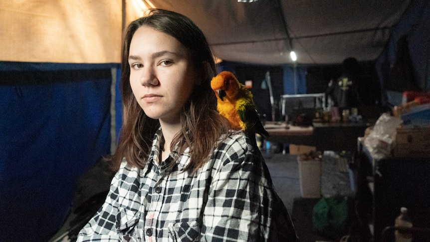 girl in tent