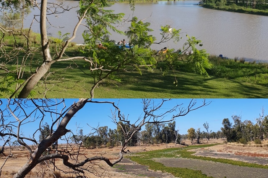 Green grass, leafy trees and a flowing river next to a picture of dry river bed, dead grass, and trees with no leaves