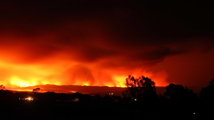 The glow from bushfires light up the night sky.