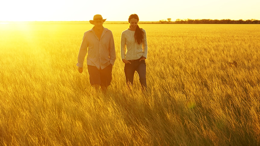 Walking through the grass at Wooleen Station