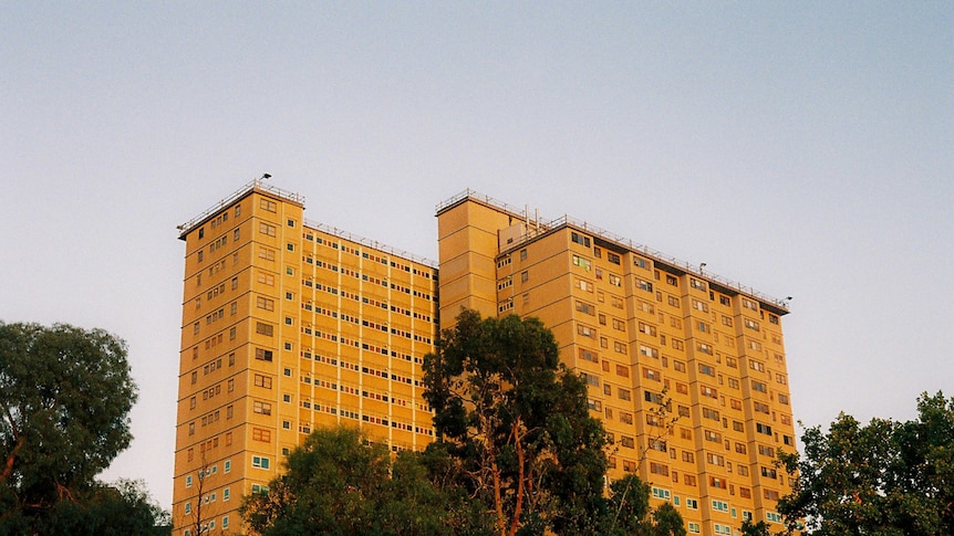 Against a pale blue sky, you view a public housing tower bathed in golden light behind large trees.