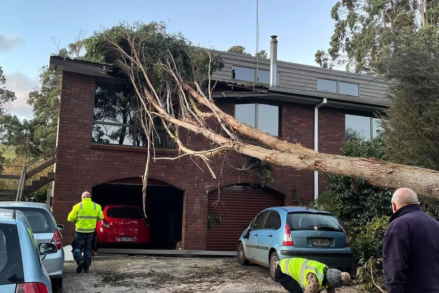 SES workers attend a scene where a tree has fallen on a two-storey house. An elderly man is watching from the driveway.