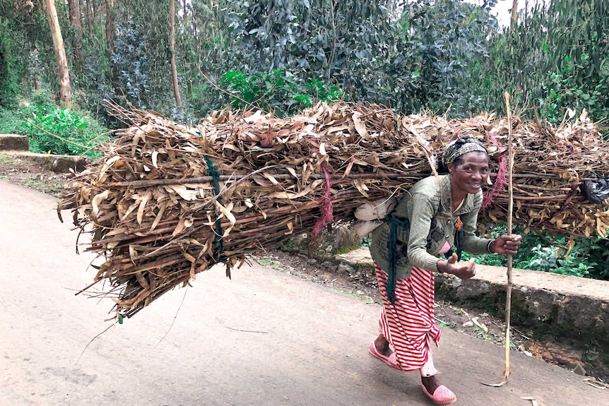 A woman carries a large bundle of thin branched on her back. She is smiling at the camera.