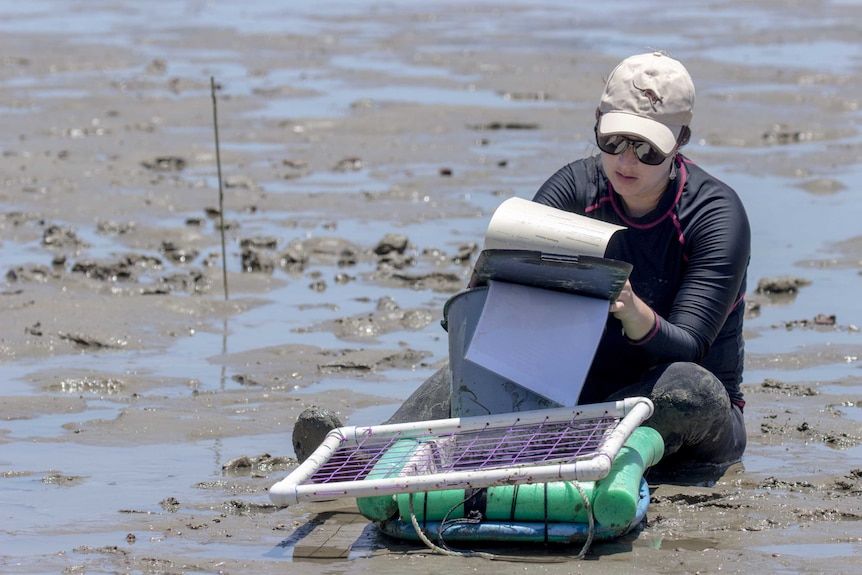 The team collects meticulous measurements for sampling