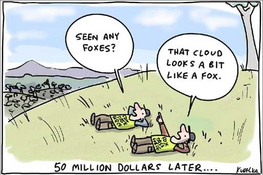 Kudelka seen any foxes