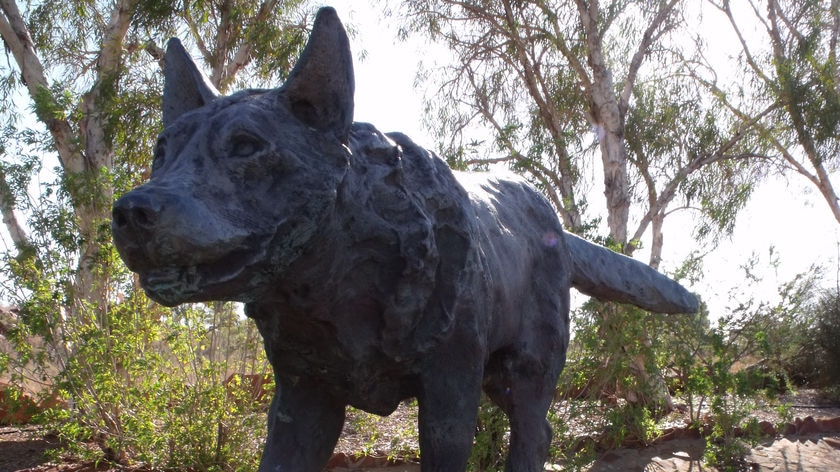 Red Dog monument, Dampier