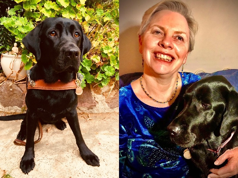 Two supplied photos: One is Dora on the day she completed puppy training, and the other is portrait of Donna beaming with Dora.