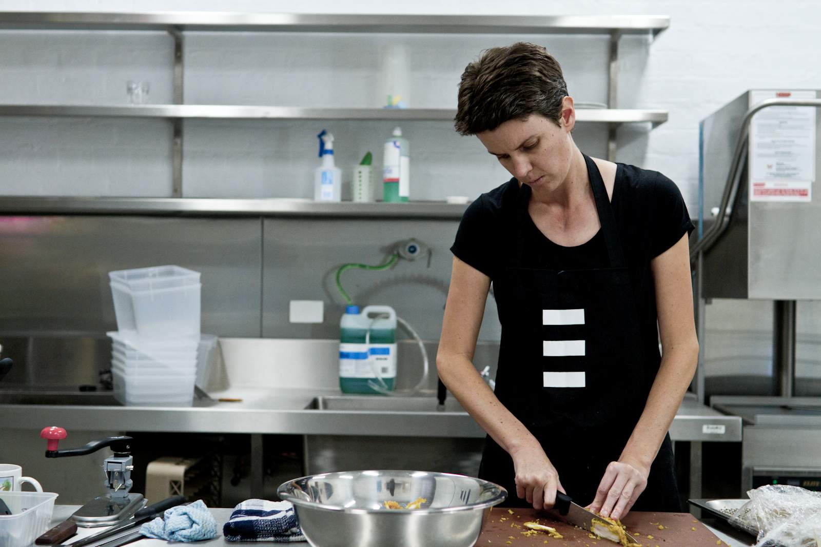 Out in the open employment service for people with disabilities opens