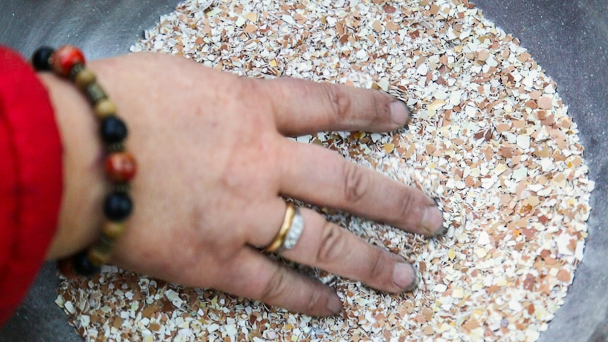 A hand in a bowl of crushed egg shells which help prevent snails and slugs from eating your homegrown fruit and veggies.