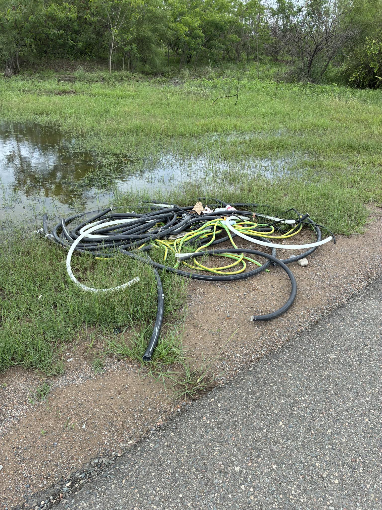 As buchas dos cabos elétricos estão emaranhadas em um pedaço de grama.