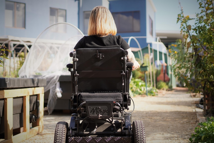 Back of woman in wheelchair at community garden