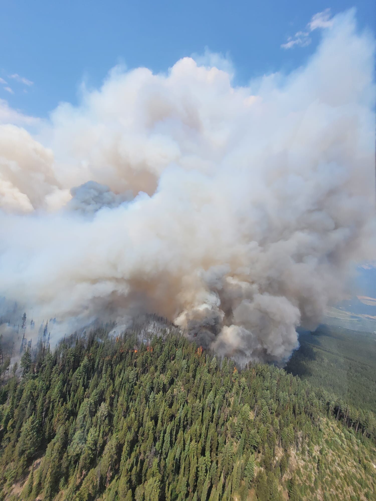 Smoke billowing from a bush.