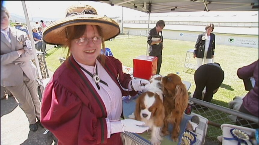 This year's show in Hobart marks 150 years since the first Australian dog show in 1862.