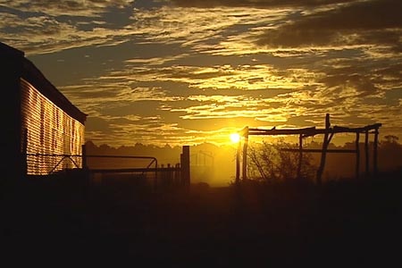 Rural sunset.