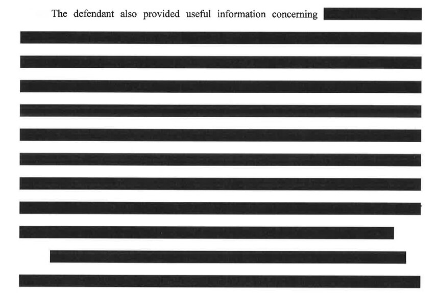 A document reads "The defendant also provided useful information concerning" with the ensuing lines blacked out.