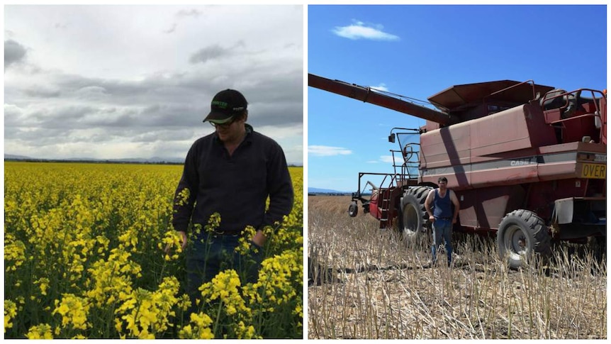 Allister Morris checks his canola crop in September, and later, at the end of November, begins harvest.