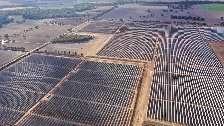 An aerial picture of a giant solar farm stretching across 500 hectares of land.