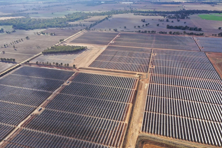 An aerial picture of a giant solar farm stretching across 500 hectares of land.