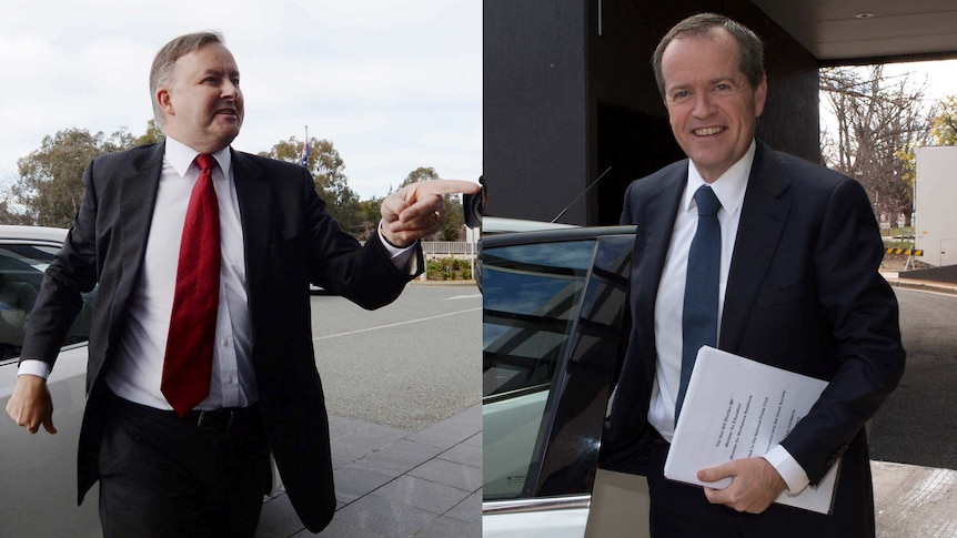 Leadership contest: Labor MPs Anthony Albanese (left) and Bill Shorten.